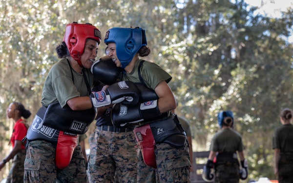 Bravo Company Body Sparring