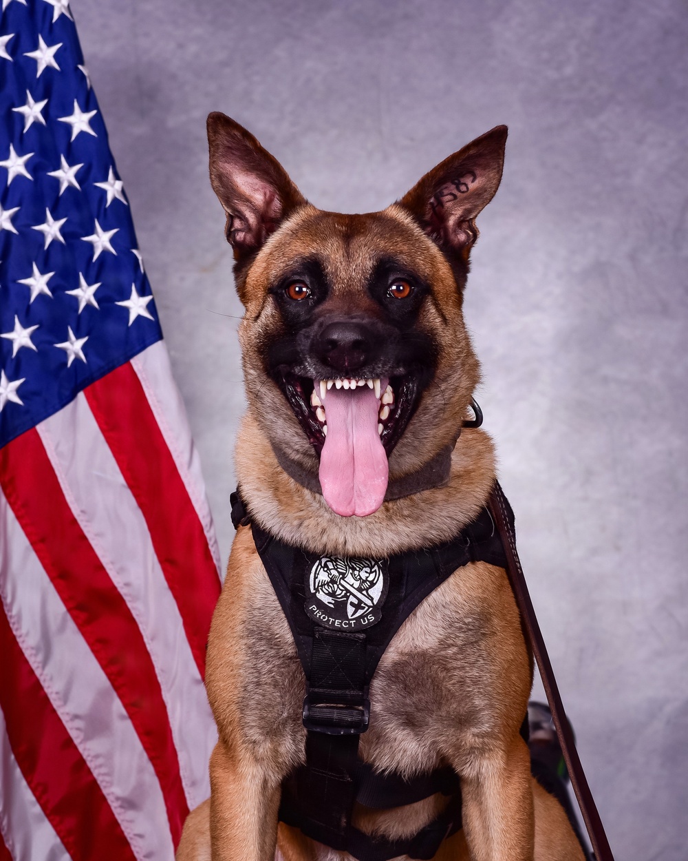 Offutt’s Newest K9 Team is Mission-Ready