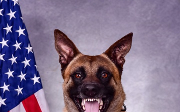 Offutt’s Newest K9 Team is Mission-Ready