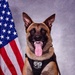 Offutt’s Newest K9 Team is Mission-Ready