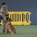 Offutt’s Newest K9 Team is Mission-Ready
