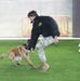 Offutt’s Newest K9 Team is Mission-Ready