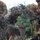 Military personnel in mixed uniforms — including USMC MARPAT and US Army OCP/Multicam — are actively digging or working with soil/dirt, with debris visibly flying through the air. The scene appears to be a field training exercise involving entrenching or demolition-related ground work. Multiple service members are engaged simultaneously, suggesting a coordinated team task.