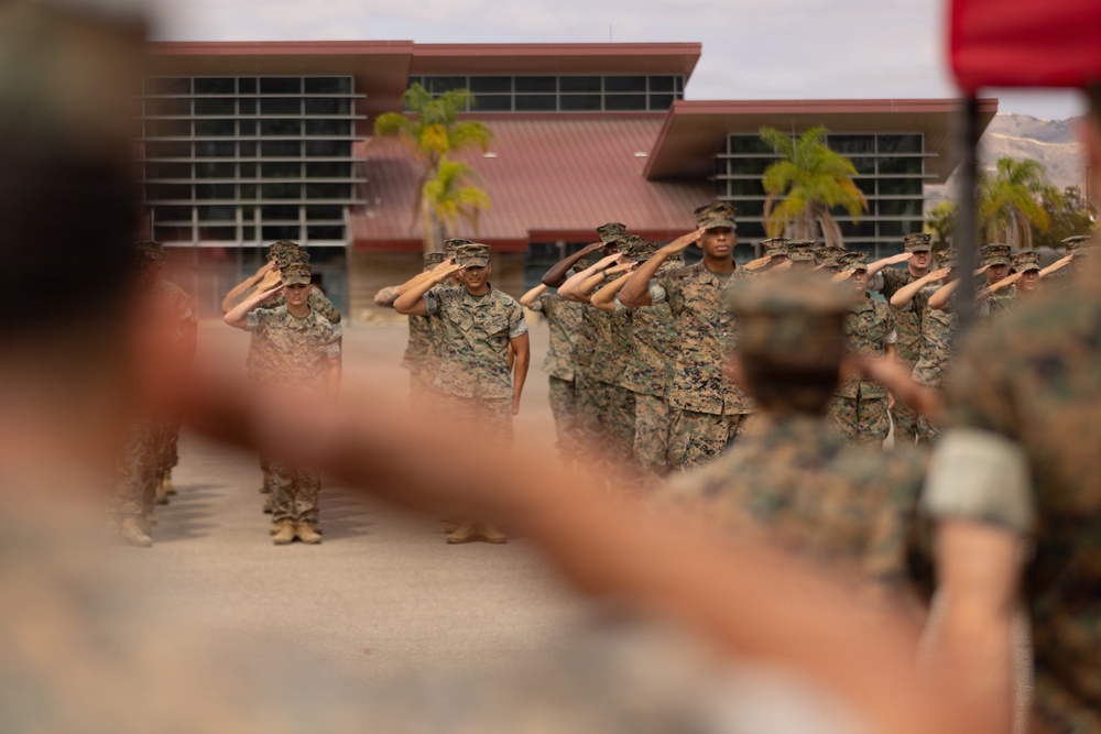 A formation of military personnel in camouflage uniforms are executing a salute during what appears to be a formal ceremony or parade. The scene takes place on a paved parade ground in front of a building with a red roof, with palm trees visible in the background. The image is shot from a low angle through the foreground figures, creating a depth-of-field effect.
