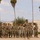 A formation of military personnel in camouflage uniforms stands at parade rest on an outdoor drill pad. One individual, likely a non-commissioned officer or drill instructor, stands facing the formation in a position of authority. The setting appears to be a military base in a warm, arid climate based on the palm trees and desert terrain visible in the background.