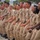 Chief Petty Officer Pinning Ceremony