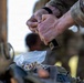 A person wearing military camouflage (MultiCam/OCP pattern) is loading ammunition into a pistol magazine. A clear plastic bag containing loose brass-cased pistol cartridges is visible in the foreground on top of military gear. The image is a close-up shot with shallow depth of field, keeping the hands and ammunition in sharp focus.