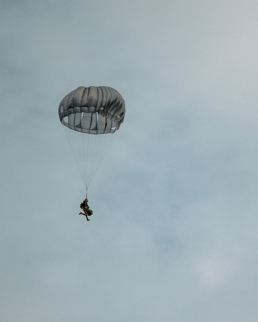 Fighting Soldiers From the Sky