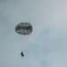 Fighting Soldiers From the Sky