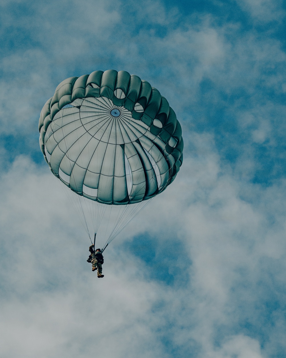 Fighting Soldiers From the Sky