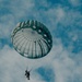 Fighting Soldiers From the Sky