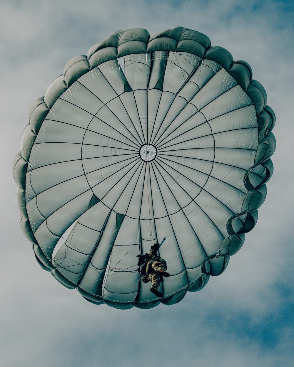 Fighting Soldiers From the Sky
