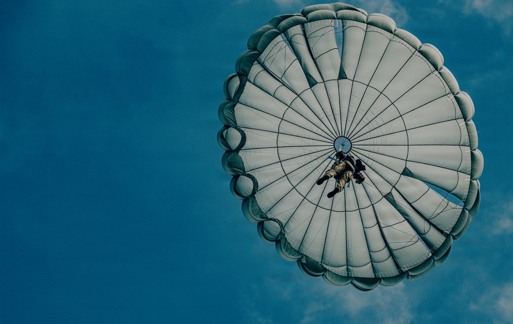 Fighting Soldiers From the Sky