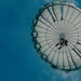 Fighting Soldiers From the Sky