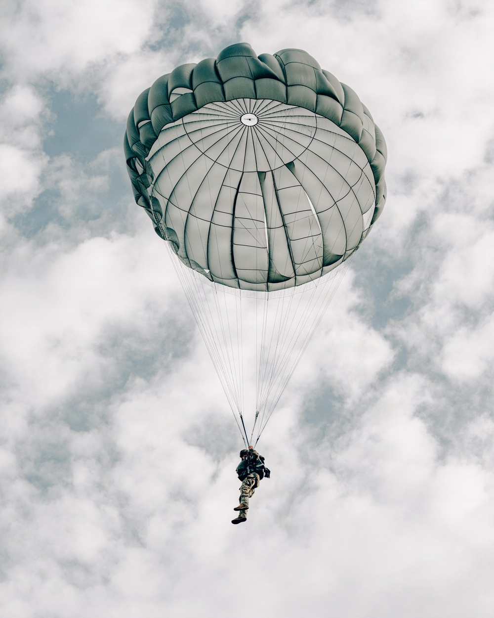 Fighting Soldiers From the Sky