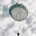 Fighting Soldiers From the Sky