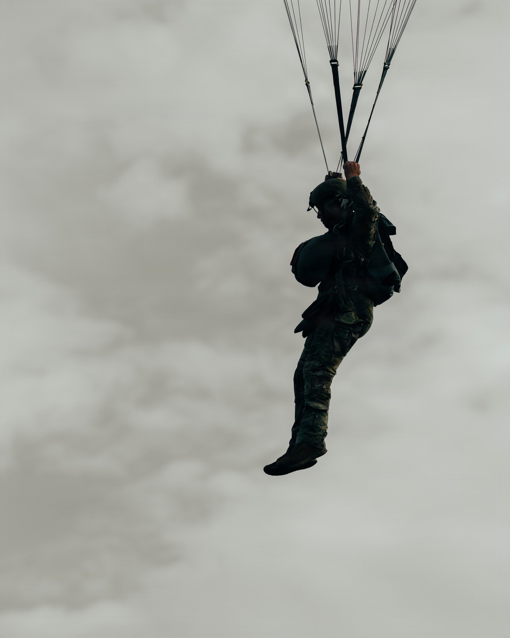 Fighting Soldiers From the Sky