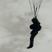 Fighting Soldiers From the Sky
