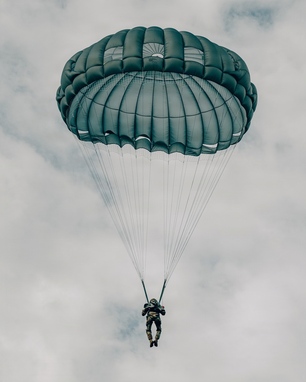 Fighting Soldiers From the Sky
