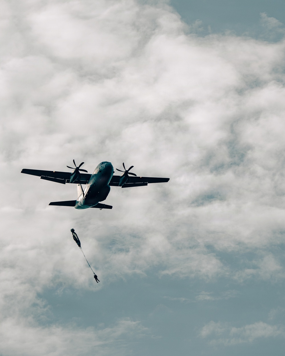 Fighting Soldiers From the Sky