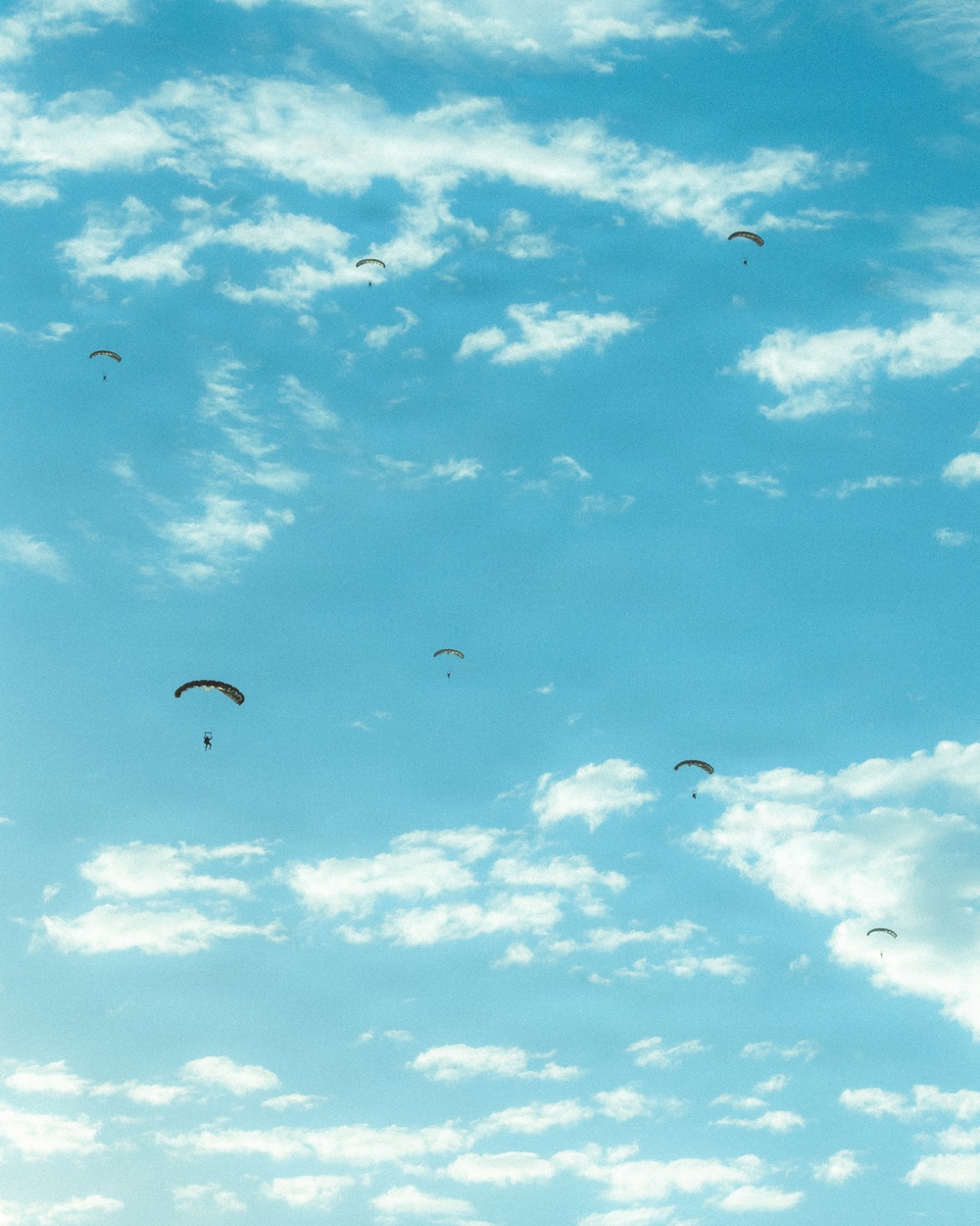 Fighting Soldiers From the Sky