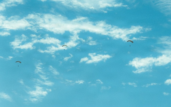 Fighting Soldiers From the Sky