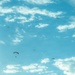 Fighting Soldiers From the Sky