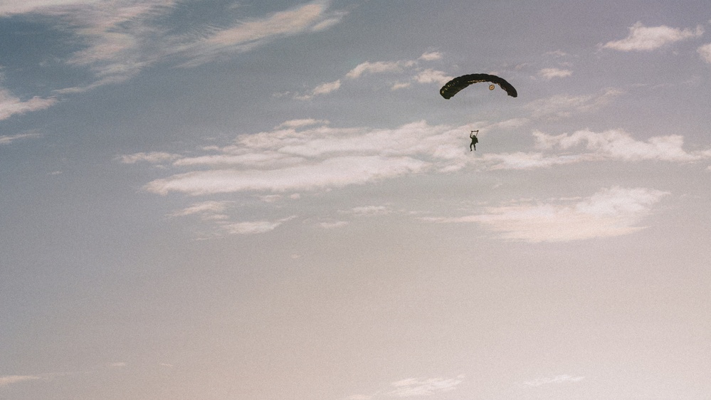 Fighting Soldiers From the Sky