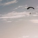 Fighting Soldiers From the Sky