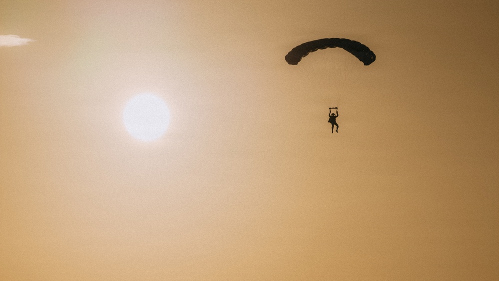 Fighting Soldiers From the Sky
