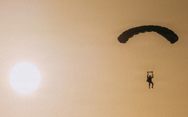 Fighting Soldiers From the Sky