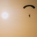 Fighting Soldiers From the Sky