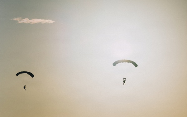 Fighting Soldiers From the Sky