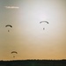 Fighting Soldiers From the Sky
