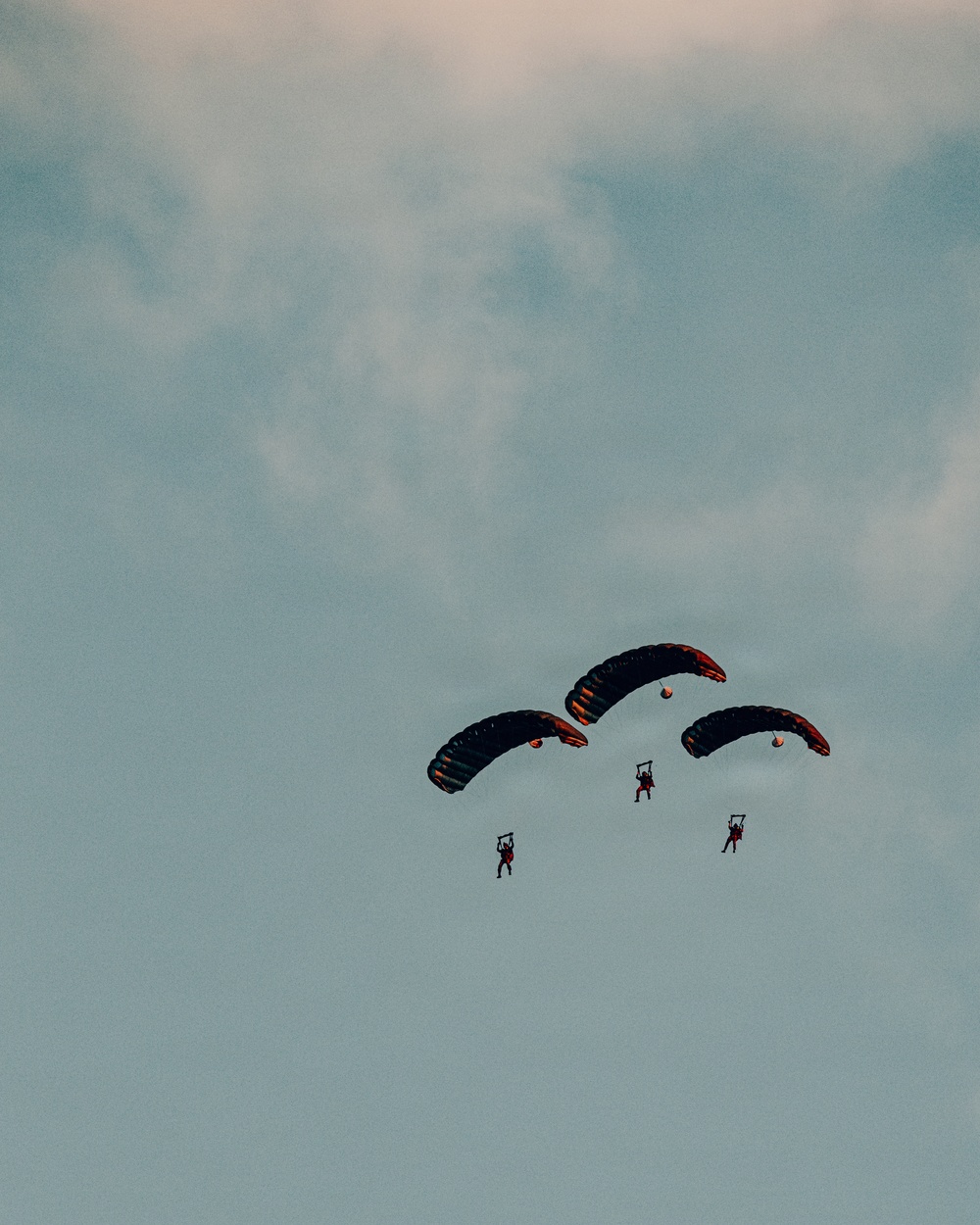 Fighting Soldiers From the Sky