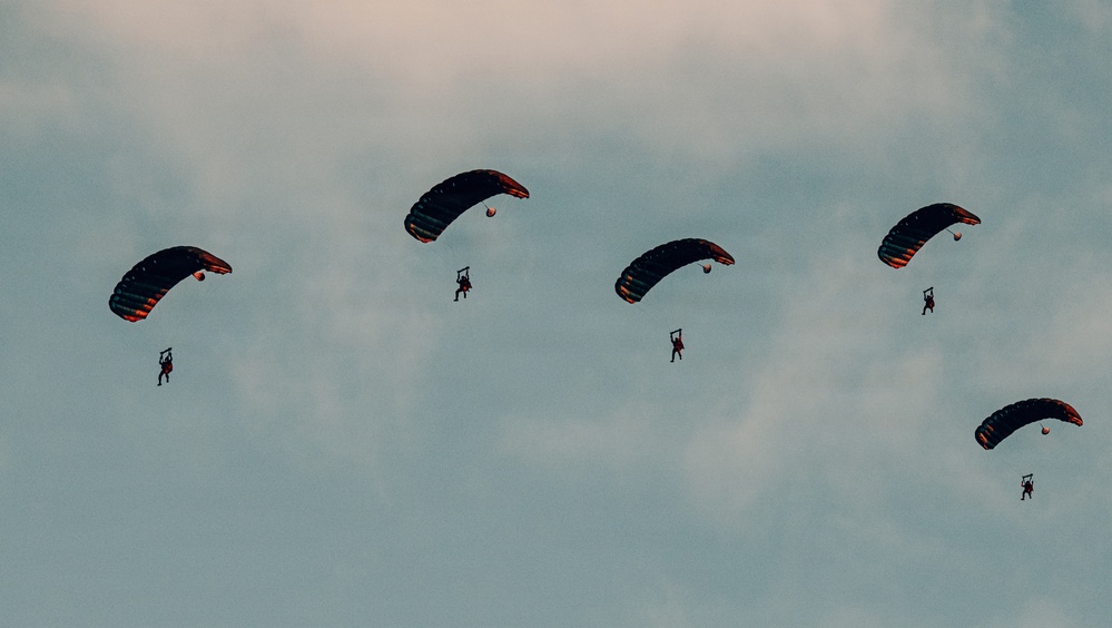 Fighting Soldiers From the Sky