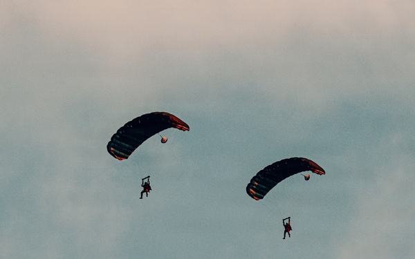 Fighting Soldiers From the Sky