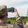 A soldier named Zeiger, wearing OCP (Operational Camouflage Pattern) uniform and patrol cap, is photographing or recording a military event or gathering with a smartphone held in landscape orientation. The phone screen shows a crowd of uniformed personnel in an outdoor field setting. A second soldier in similar uniform is partially visible in the foreground right.