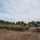 A large military formation is assembled on an open dirt field, with two distinct groups of soldiers visible — a larger group on the left and a smaller group on the right. Military vehicles, including what appear to be self-propelled artillery systems and support trucks, are positioned in the background. The setting appears to be a training area or exercise ground bordered by dense tree lines.