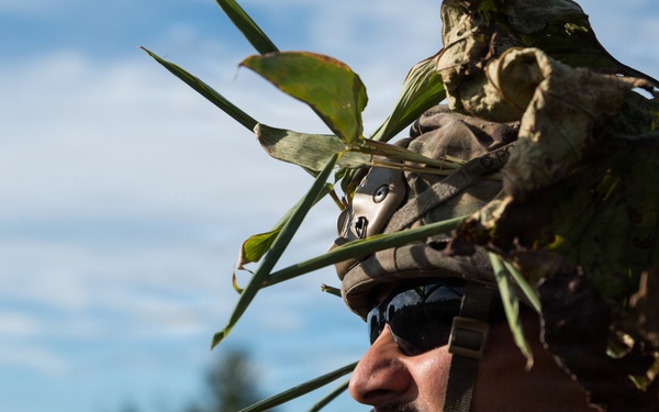 A close-up profile shot of a male soldier wearing a tactical helmet adorned with natural vegetation for camouflage purposes. He is wearing dark sunglasses and a chin strap, with a mustache visible. The background shows an open field with trees and a partly cloudy blue sky.