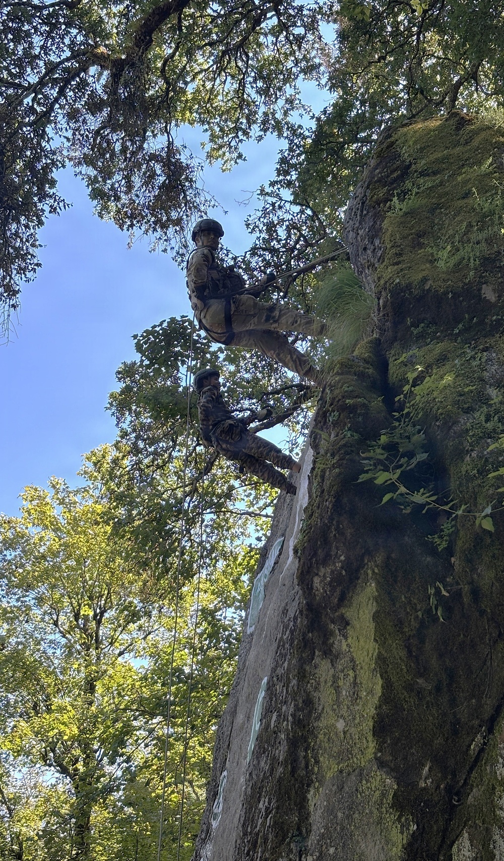 Two individuals in military camouflage uniforms and helmets are rappelling down a tall, moss-covered rock face surrounded by dense green trees. The image is taken from a low angle looking upward, emphasizing the height of the climb. The setting appears to be a forested outdoor training environment during daytime.