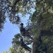Two individuals in military camouflage uniforms and helmets are rappelling down a tall, moss-covered rock face surrounded by dense green trees. The image is taken from a low angle looking upward, emphasizing the height of the climb. The setting appears to be a forested outdoor training environment during daytime.