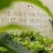 A close-up photograph of a Commonwealth War Graves Commission headstone, partially obscured by foliage in the foreground. The stone bears the well-known epitaph 'He gave his to-day that we might have our tomorrow,' a phrase commonly associated with the Kohima Epitaph honoring fallen soldiers. Small succulent ground cover plants grow at the base of the headstone.