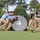 2026 US Army Best Squad Competition: Community Day Fitness Event A group of military personnel in camouflage uniforms and blue shirts are pushing a large padded cylindrical roller across a grass field during what appears to be the Army Best Squad Competition. Two cadre members in black shirts observe and oversee the activity. The event appears to be a team physical fitness or obstacle course challenge at a military training facility.