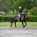 A man wearing a white cowboy hat, black shirt, jeans, and sunglasses is riding a dark bay horse on a gravel path. The setting appears to be a rural property or equestrian facility with manicured hedges, green lawns, and large trees in the background. The horse is captured mid-stride in a relaxed walk or slow trot.