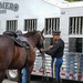 A uniformed military soldier is handling a saddled dark brown horse in front of a large silver Bloomer Trailers horse trailer. The soldier is wearing a formal U.S. Army dress uniform with a black jacket, blue trousers with a gold stripe, and a black service cap. The scene appears to be a ceremonial or official military equestrian event.