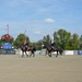 Four military riders on dark horses perform a ceremonial procession at Veterans Stadium, an equestrian venue. The riders are in formal military dress uniforms, with at least one carrying a ceremonial flag or guidon. The event appears to be an official color guard or opening ceremony at what looks like a competitive equestrian show.