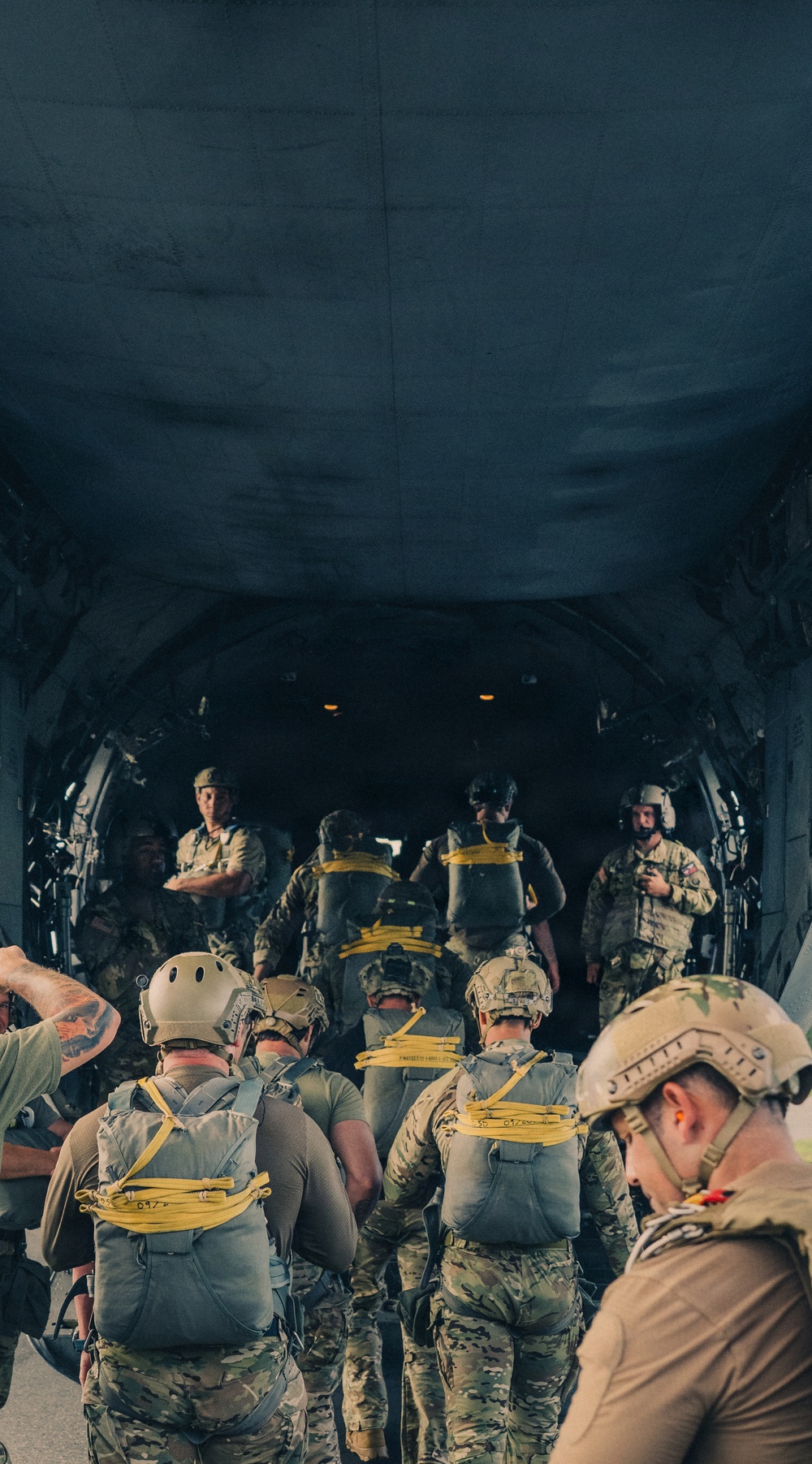 Fighting Soldiers from the sky