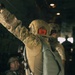 Fighting Soldiers from the sky