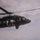 Out of the Helo-Into the Water Out of the Helo-Into the Water